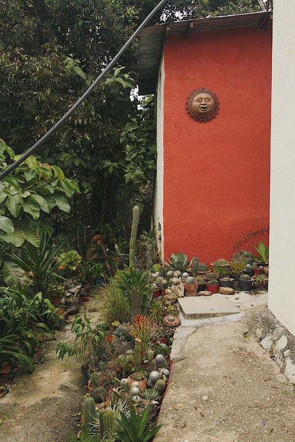 Cabana Campestre En Oaxaca Kültér fotó