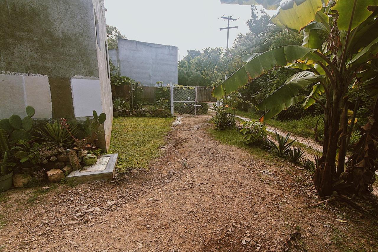 Cabana Campestre En Oaxaca Kültér fotó