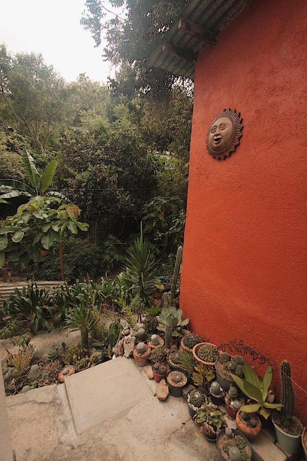 Cabana Campestre En Oaxaca Kültér fotó