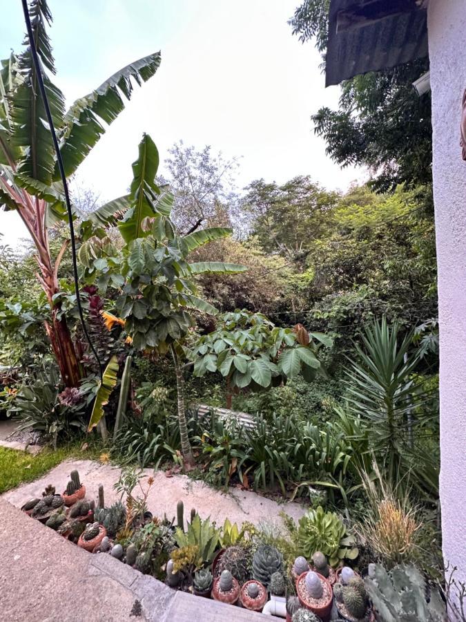 Cabana Campestre En Oaxaca Kültér fotó